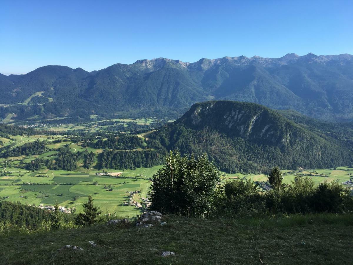 Milka 52 Bohinj